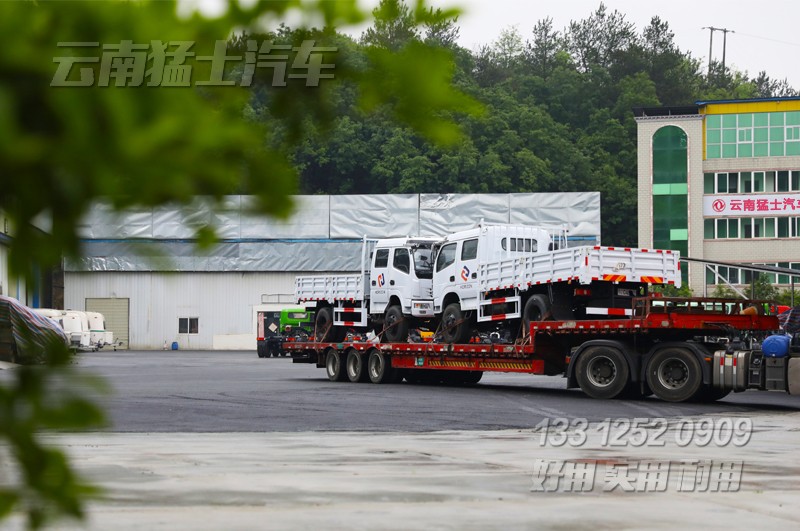 雙排輕卡,出口非洲,十堰泛亞貿(mào)易,汽車出口,四驅(qū)輕卡